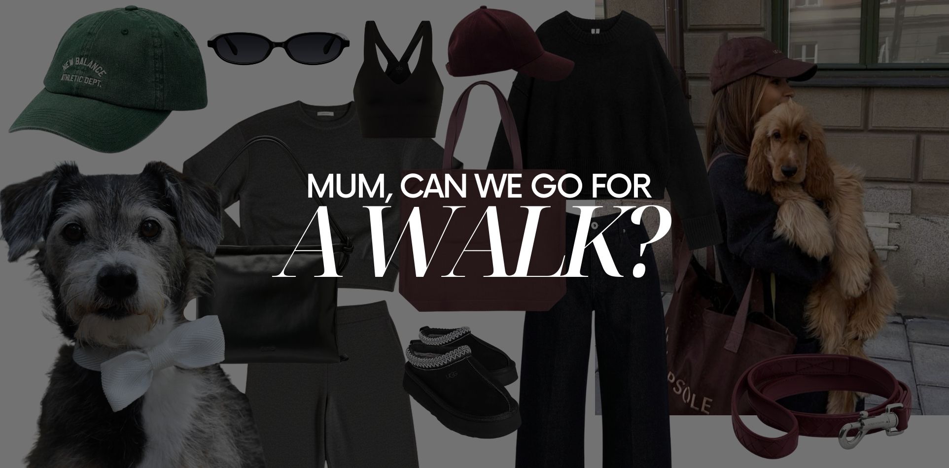 Dog Walks, Styled Your Way